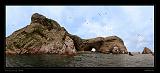 Ballestas Islands 039